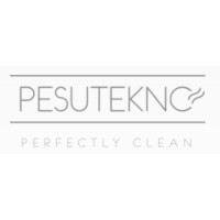 Pesutekno Oy logo - Similar company to Fischbein By Votech