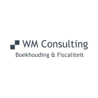 WM Consulting BV logo - Similar company to Wingman Accountants