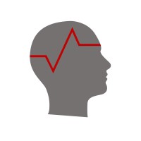 Brain Vision Solutions Inc. logo - Similar company to Cortivision Sp. Z O.O.