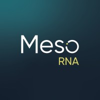 MesoRNA logo - Similar company to Cellazon