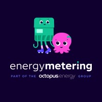 Energy Metering Germany GmbH logo - Similar company to Ylektra