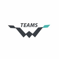 Team'S World Int'L Inc 鼎碩貿易有限公司