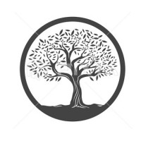 BlackOlive logo - Similar company to Black Olive Collection