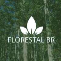 Florestal BR logo - Similar company to Central Florestal