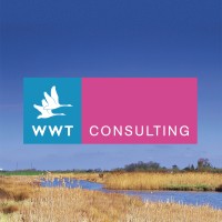 Wwt Consulting