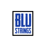 Blue Strings logo - Similar company to Karo Research