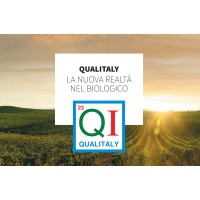 Qualitaly srl logo - Similar company to Ceviq Srl