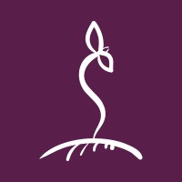 Synica logo - Similar company to Synics