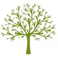 Olive Branch Community Gardens