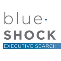 Blue Shock Executive Search logo - Similar company to Lecours