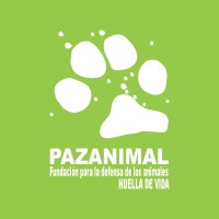 Fundación Para La Defensa De Los Animales Pazanimal Huella De Vida