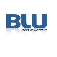 Blu Asset Management logo - Similar company to Stoic Money