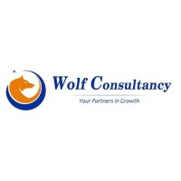 WOLF Consultancy logo - Similar company to Ant Wolf Consultancy