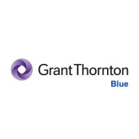 Grant Thornton Blue logo - Similar company to Netinet