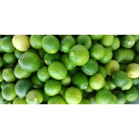 AGRO PRODUCTS logo - Similar company to Bunga