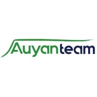 Auyanteam logo - Similar company to Bullmarkets.Com