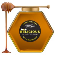Belicious Products logo - Similar company to Reprodux