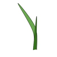 First Leaf Capital logo - Similar company to 7 Watts