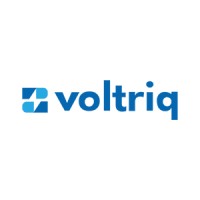Voltriq India Private Limited logo - Similar company to The Coder Brain