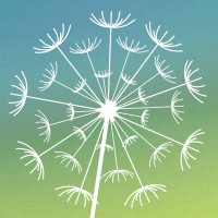 Agentur Pusteblume logo - Similar company to Kaeding Anderson | Agency For Design And Communication