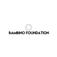 The Bambino Foundation logo - Similar company to Hydro Diagnostics
