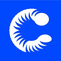 CONREDSIS logo - Similar company to Infoarch