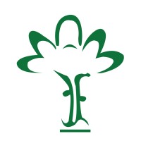 DMM Guinée logo