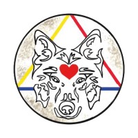 Orion Studio professionale integrato per il benessere naturale logo - Similar company to Studio 1