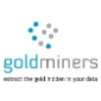 Gold Miners logo - Similar company to Lmp Consulting Services