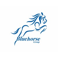 Bluehorse Group logo - Similar company to Ehale / Hexa