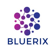 BLUERIX OPC PRIVATE LIMITED logo - Similar company to Vampka It Solution