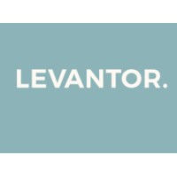 Levantor logo - Similar company to Levantor Capital Limited