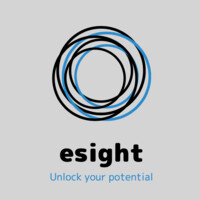 esight logo - Similar company to Swifturk