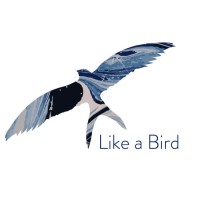 Like a Bird Migration Consulting logo - Similar company to Pivot Point