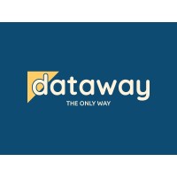 dataway logo - Similar company to Infini-T.Ai