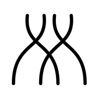 Mutagen logo - Similar company to Multiversevm