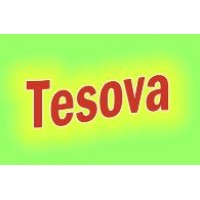 Tesova logo - Similar company to Container Seals And Industries