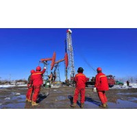 Oil Gas Professionals logo - Similar company to Ocean Tech Services, Llc