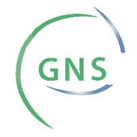 Great Network Solutions logo - Similar company to Ililias