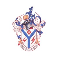 The Institution of Analysts and Programmers logo - Similar company to Nafn Data And Intelligence