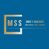 GMSS y Asociados logo - Similar company to Gmssm