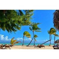Travel logo - Similar company to Travel Document Systems, Inc