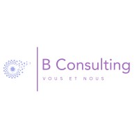 B Consulting logo - Similar company to Tskstudios