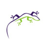 Grape Lizard logo - Similar company to Website Mojo