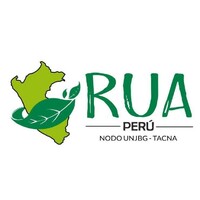 Rua Perú Unjbg - Tacna