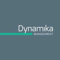 Dynamika Management logo - Similar company to Logx Consulting