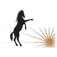 Mustang Construction, Inc logo - Similar company to Pro-Line Construction Materials Ltd.