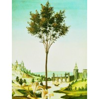 Botticelli Capital Partners LLC logo - Similar company to Esglab