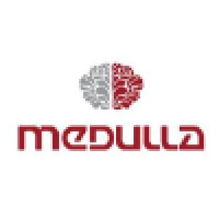 Medulla Productions & Consulting LLC logo - Similar company to Aiitech_Dubai