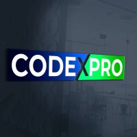 CODEXPRO Information Technologies and Consulting logo - Similar company to Riseway Consulting